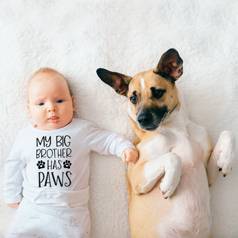 MY BIG BROTHER HAS PAWS