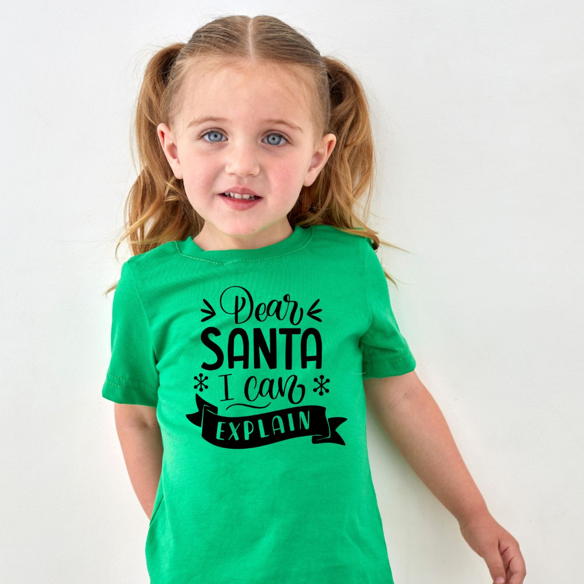 DEAR SANTA I CAN EXPLAIN